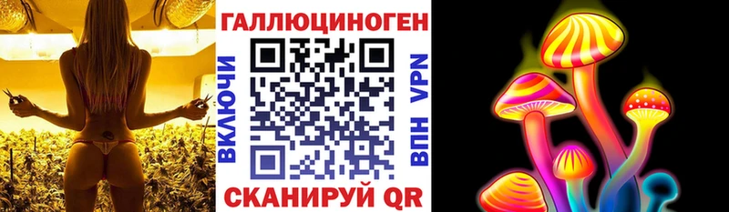 Псилоцибиновые грибы мухоморы даркнет какой сайт Приволжский